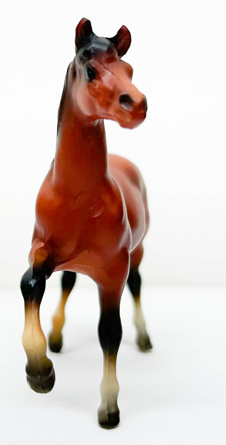 Morgan Mare, Red Bay - Sears SR