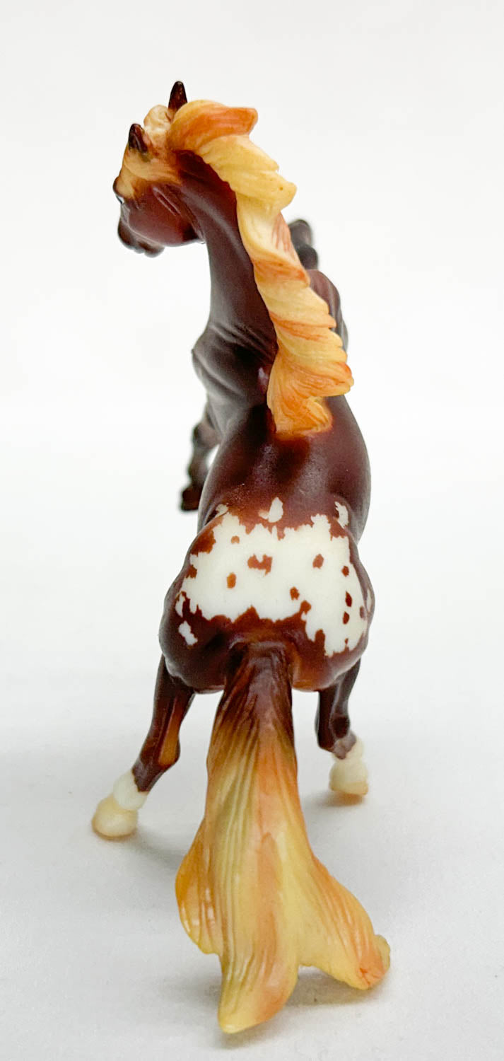 Rearing Andalusian, Liver Chestnut Appaloosa - JC Penney SR