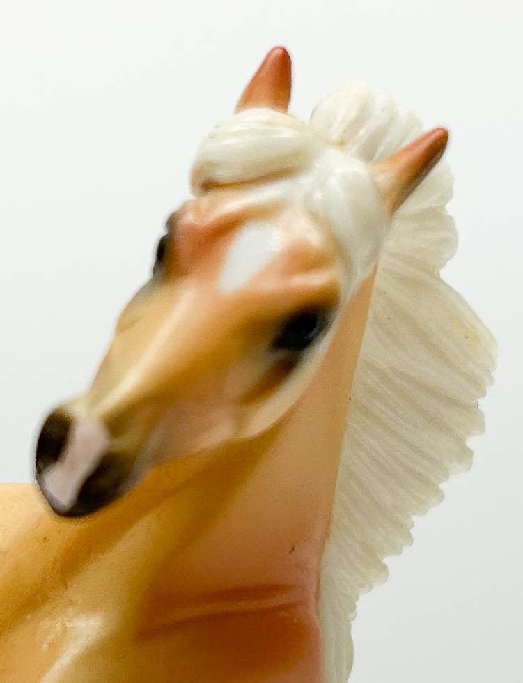 Rearing Andalusian, Palomino - Target SR