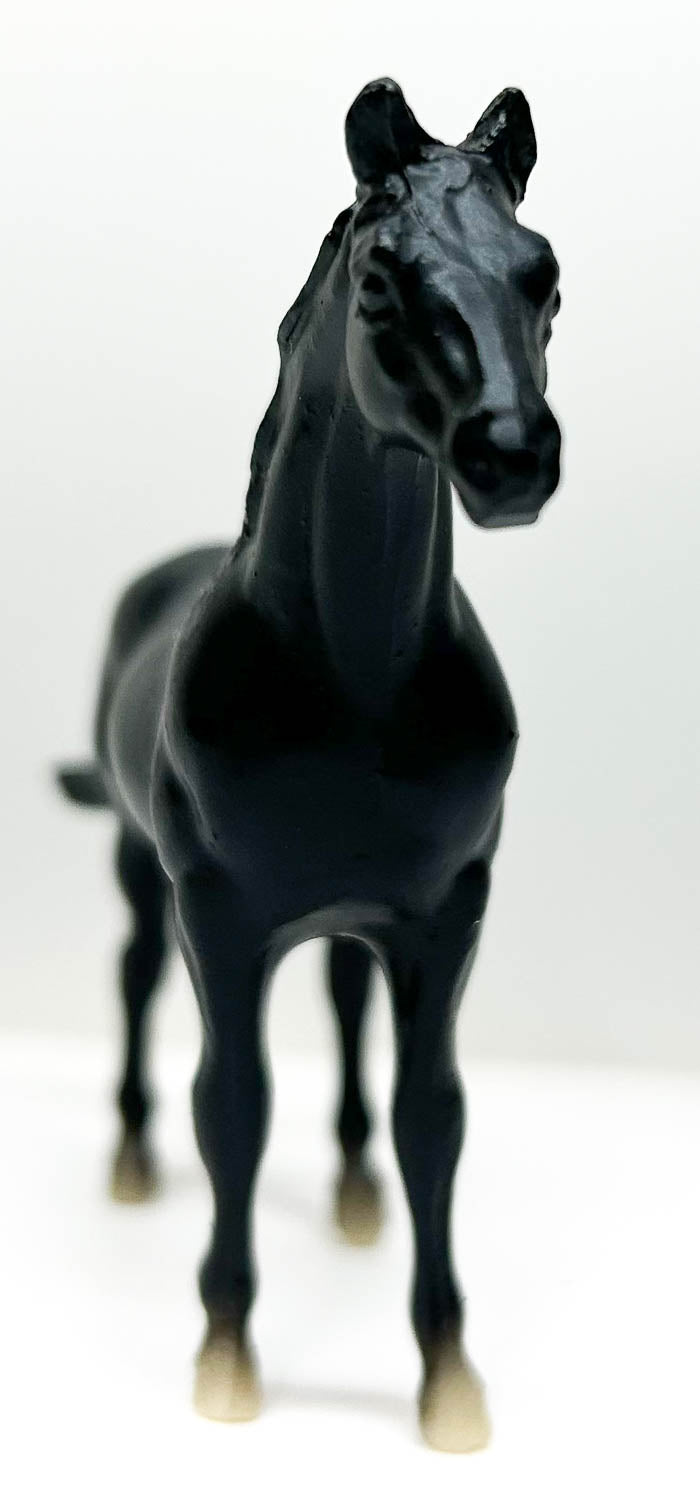 Silky Sullivan ~ Thoroughbred Racehorse, Black