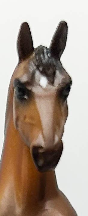 Standing Thoroughbred, Bay - 2010 Toys R Us SR
