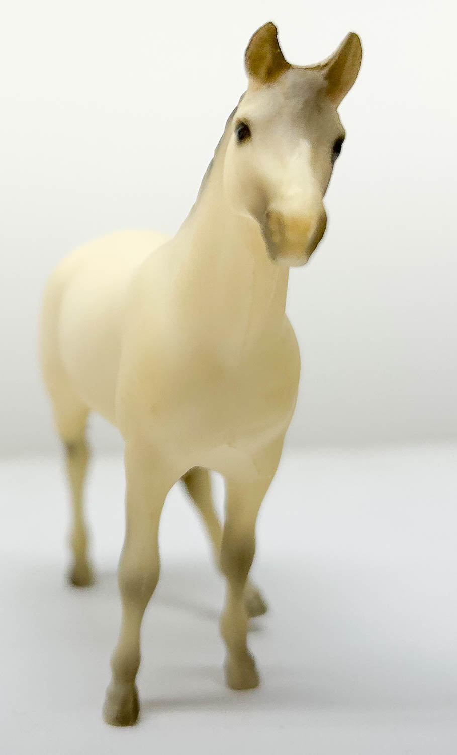 Swaps, Alabaster - JC Penney SR