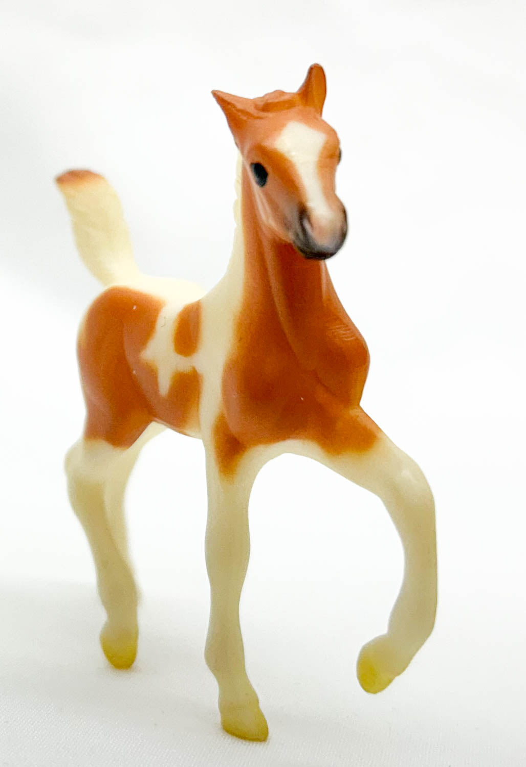 Trotting Foal, Chestnut Pinto