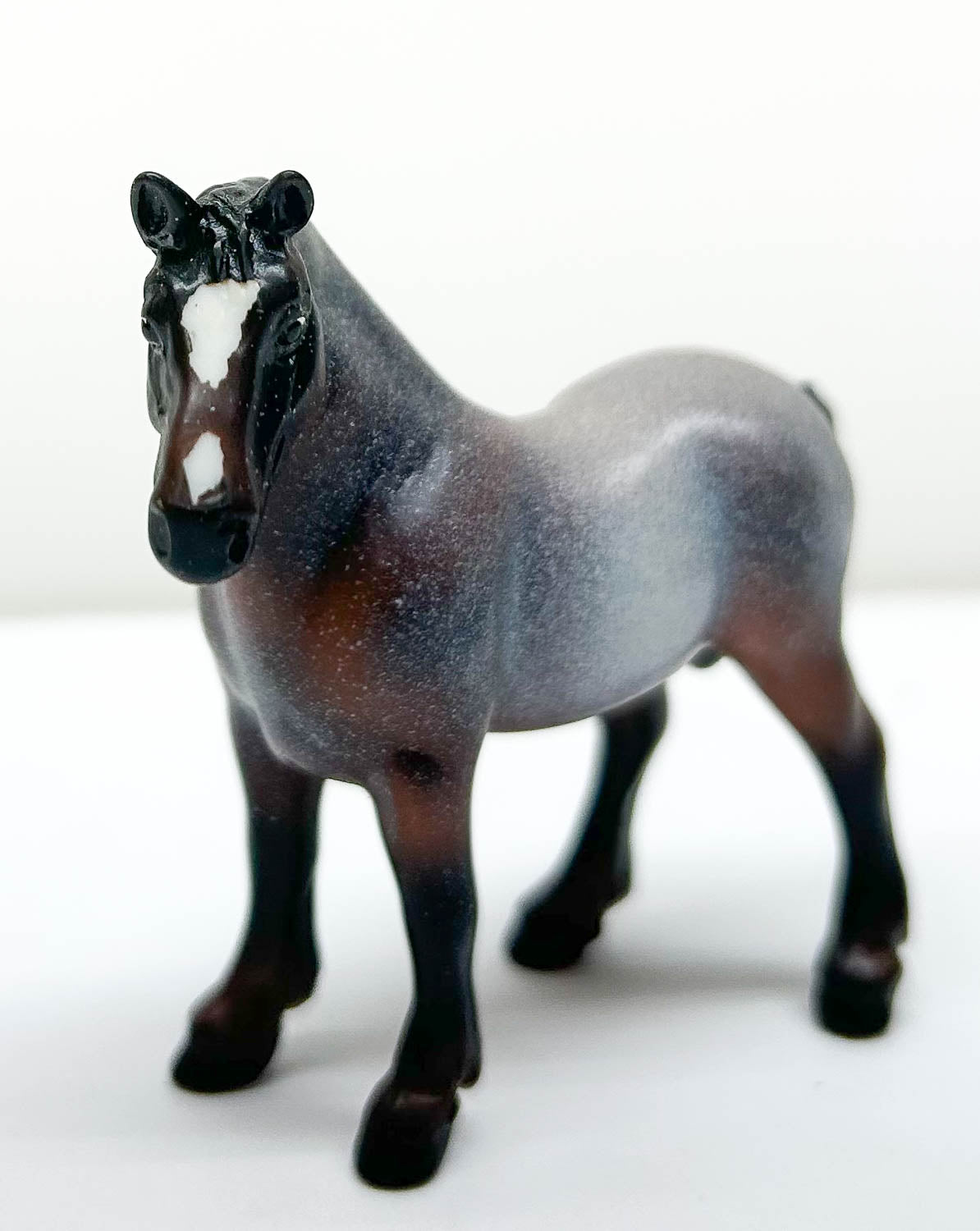 Vaulting Draft Horse, Bay Roan - WEG SR