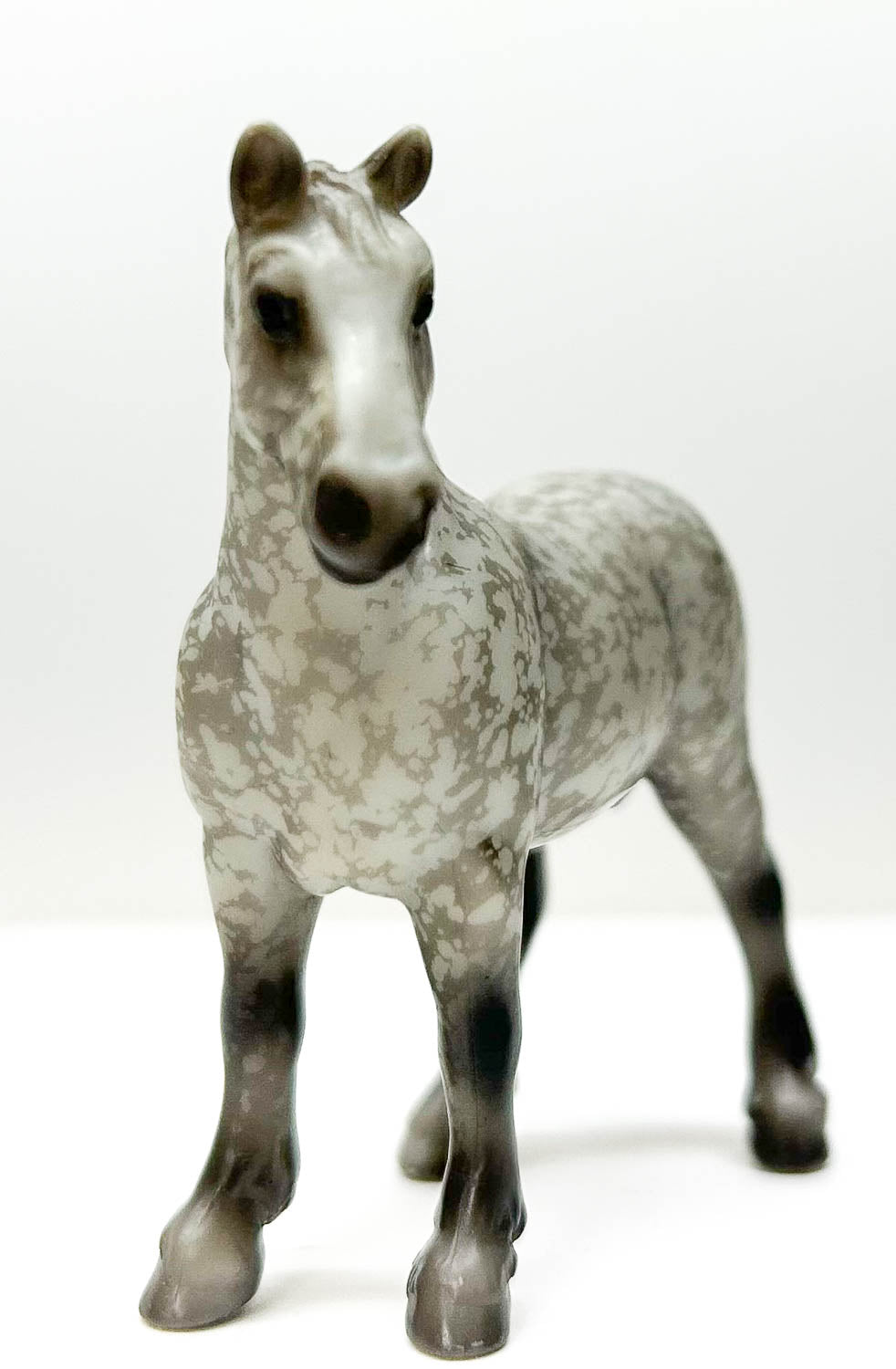 Vaulting Draft Horse, Dapple Grey