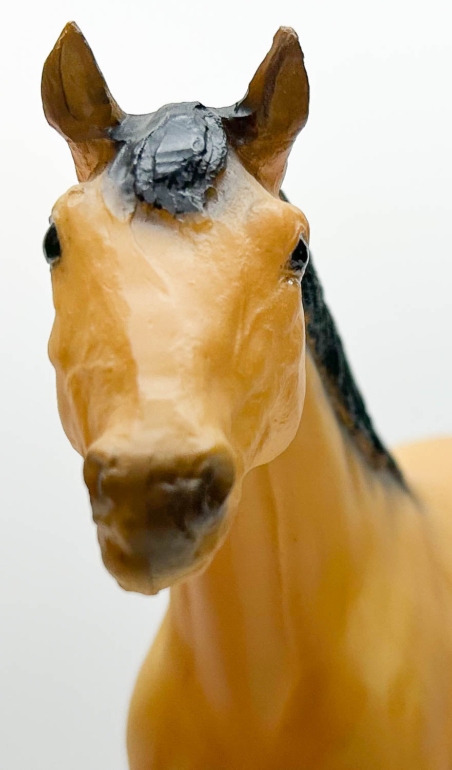 Stock Horse Stallion, Buckskin - Warehouse Find