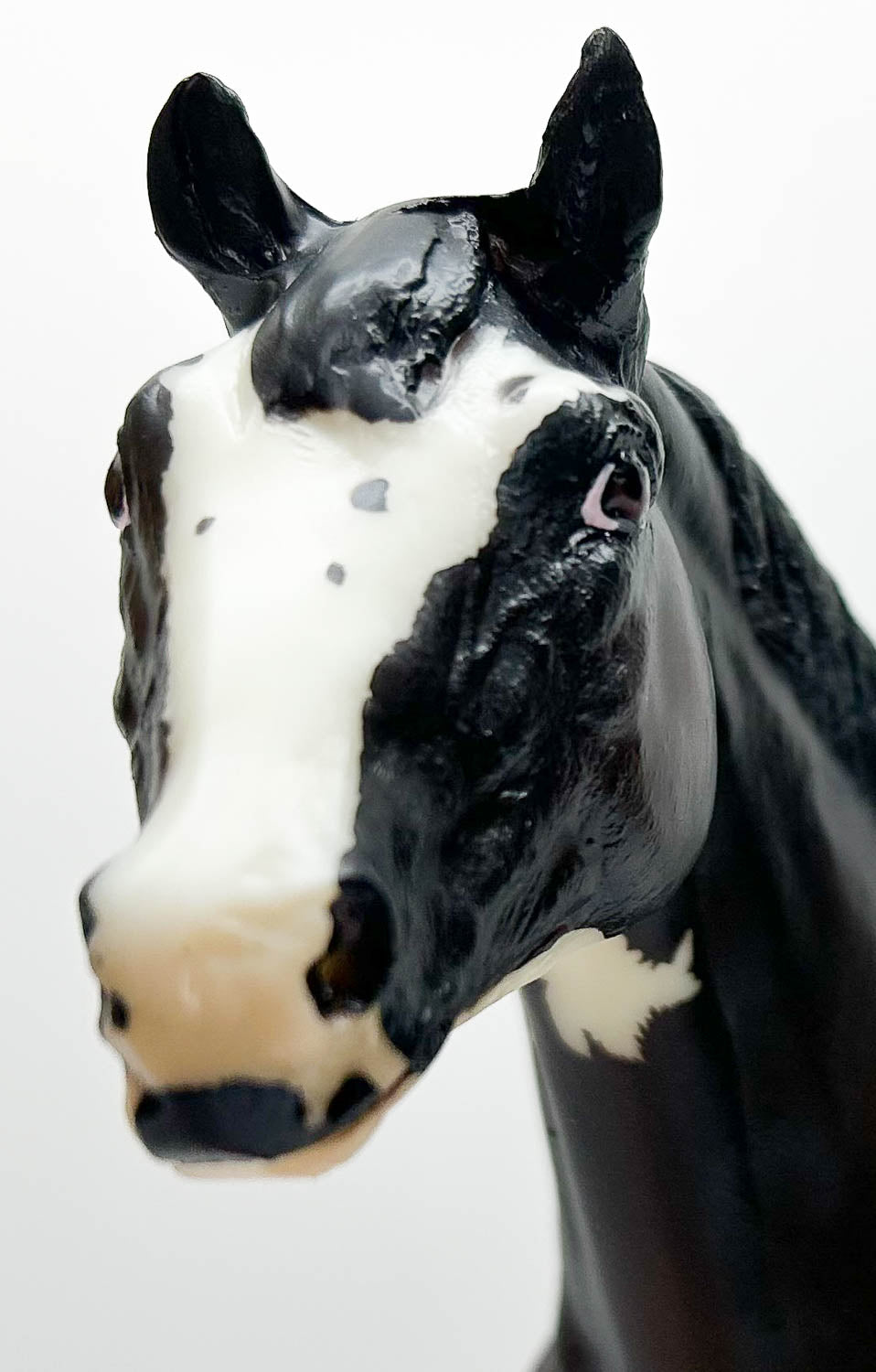 Stock Horse Stallion ~ Chocolate Chip Kisses