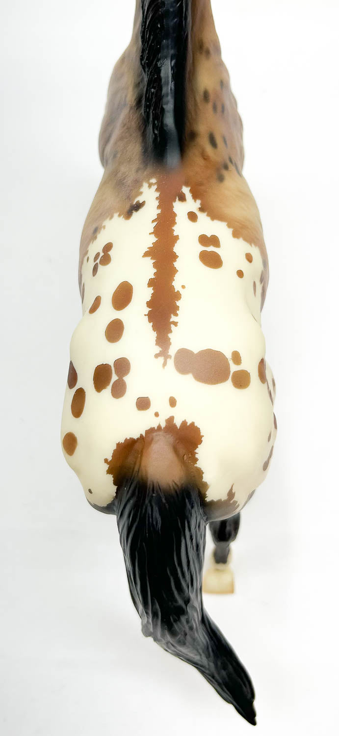 Stock Horse Stallion ~ DZ Weedo