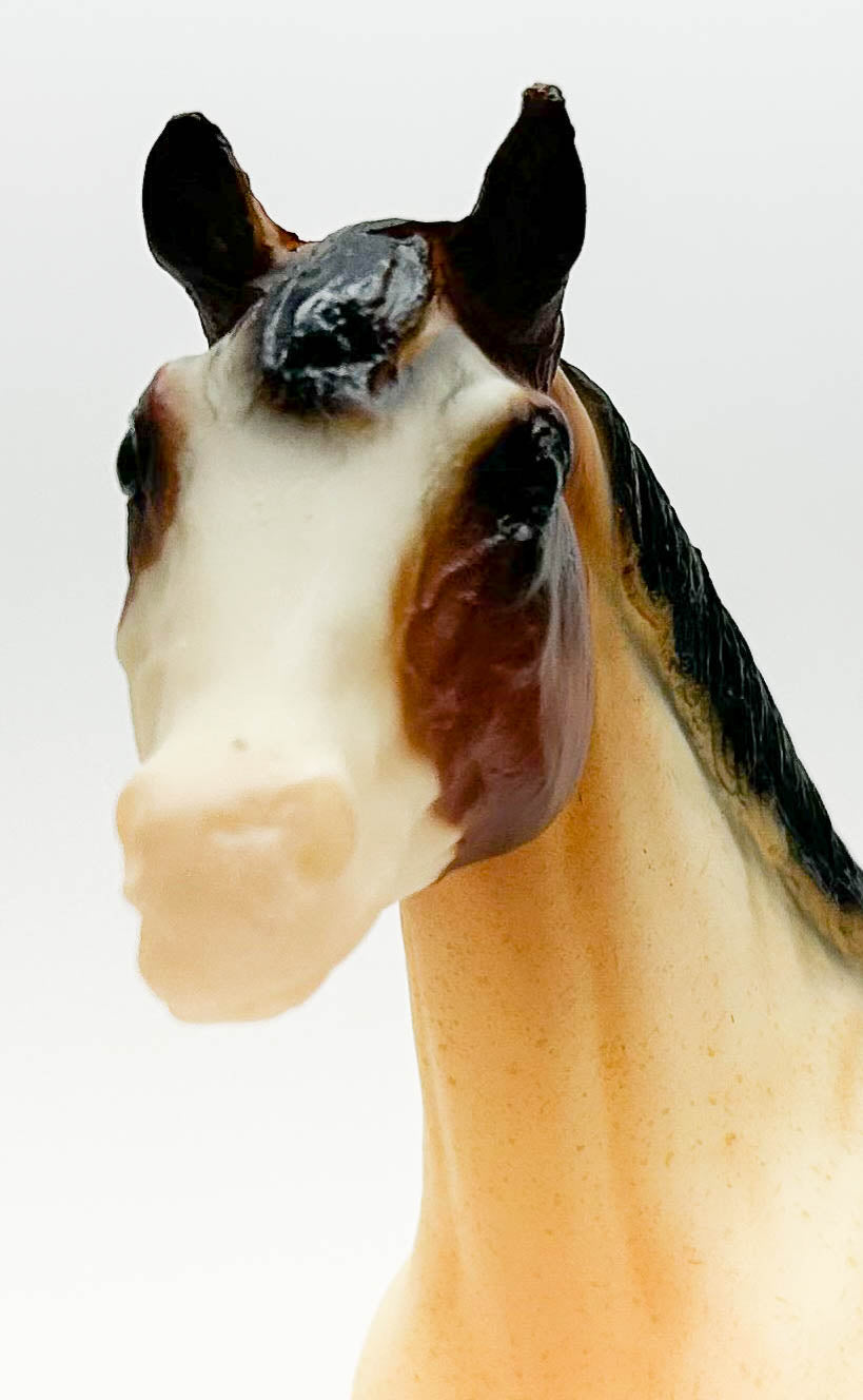 Stock Horse Stallion ~ Rebel, American Quarter Horse