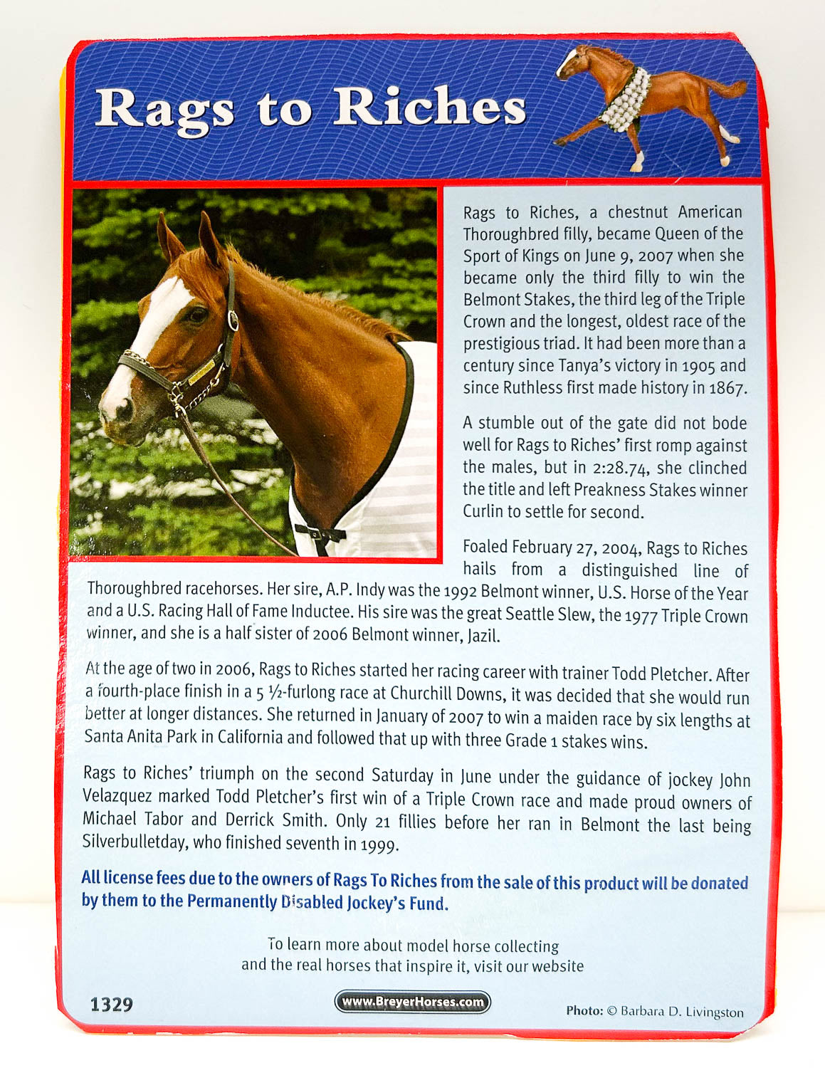 Bio Card: Ruffian ~ Rags To Riches