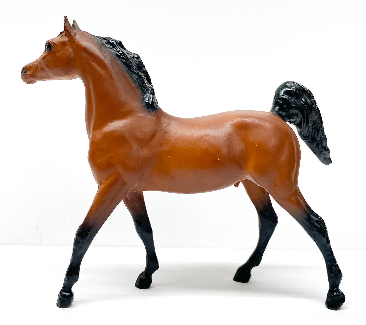 Arabian Stallion, Bay