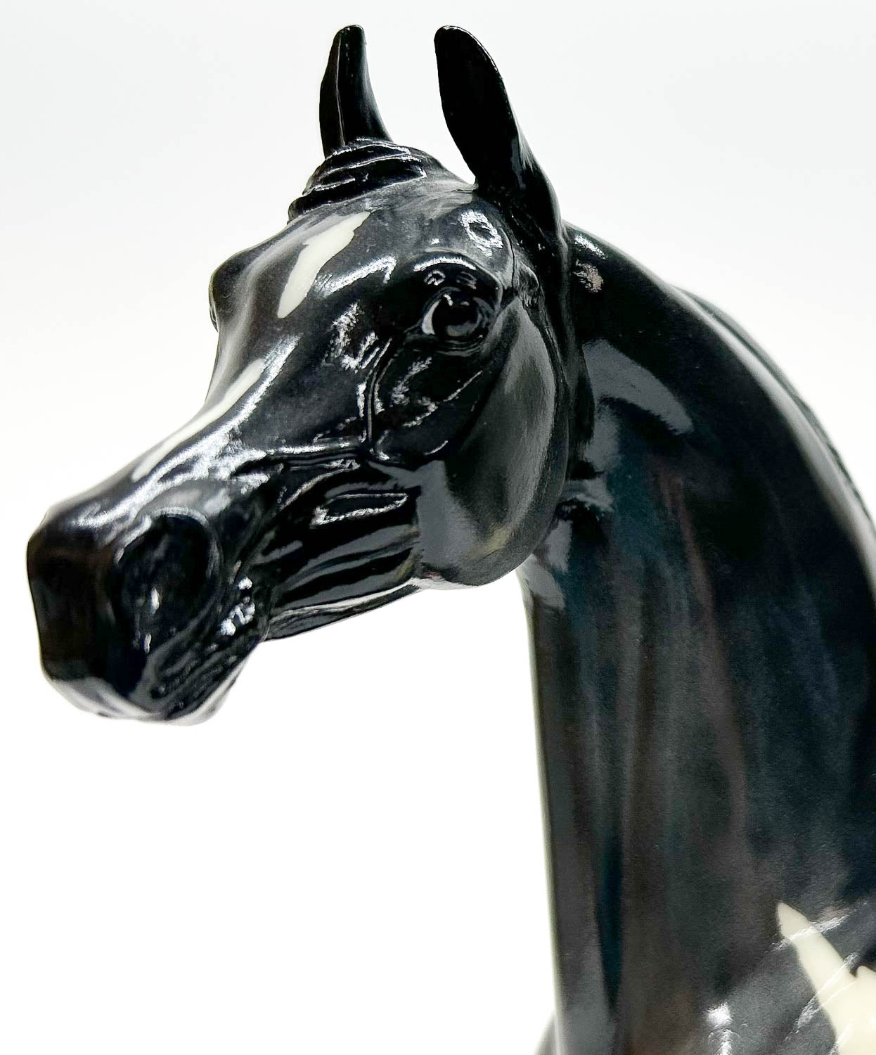 Arabian - Original ~ Opening Night - Glossy - Only 50 Made