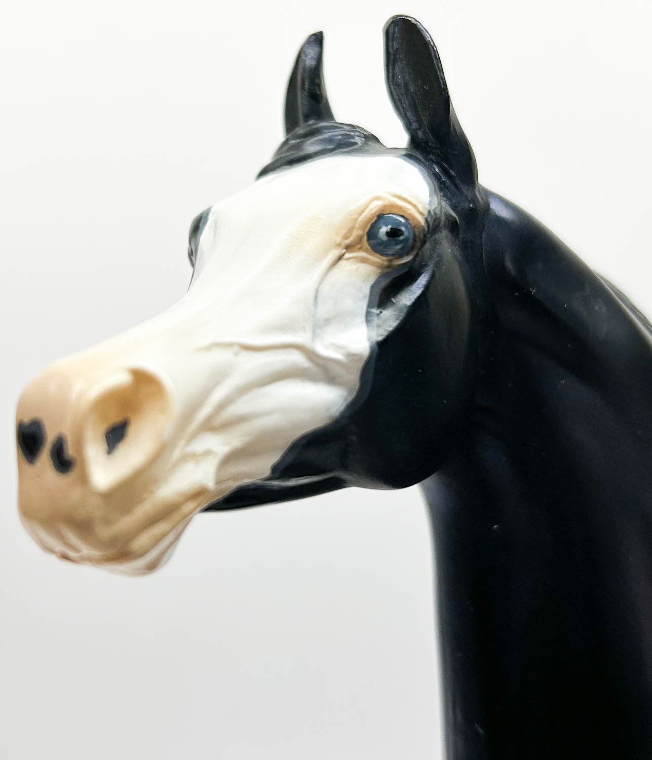 Arabian - Original ~ Cerulean Knight - Show SR