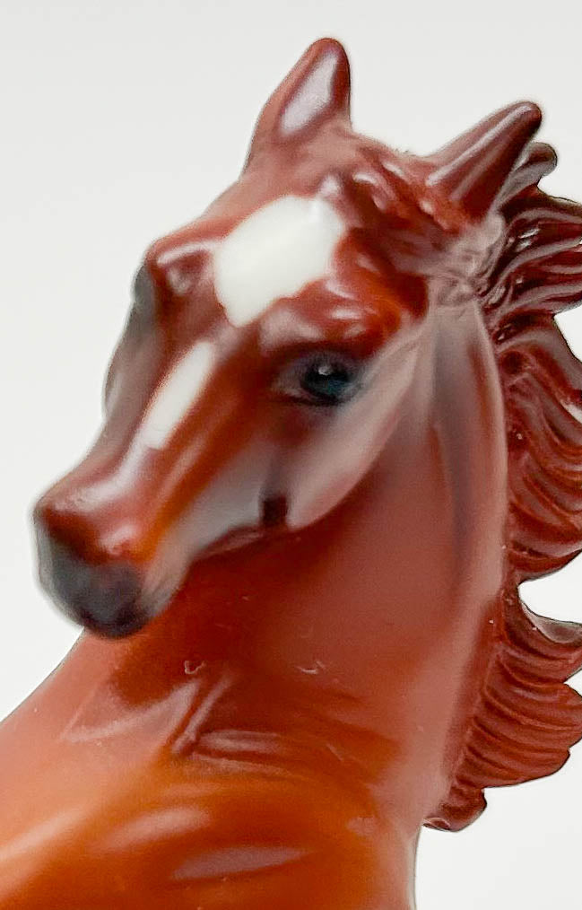 Rearing Arabian, Chestnut - JCP SR