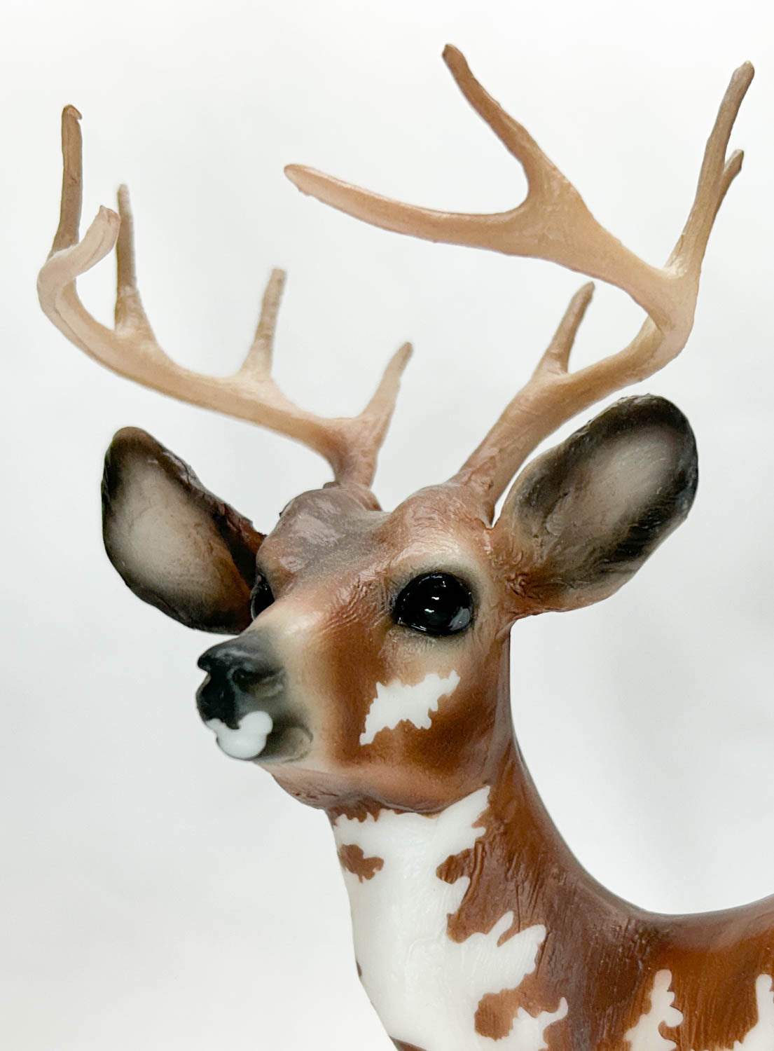 Buck Deer ~ Garret - Web Special