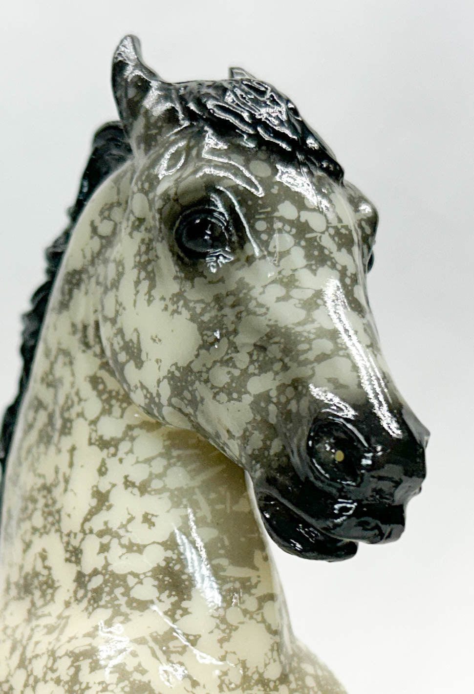 Fighting Stallion ~ Shockwave - 6-Month Release