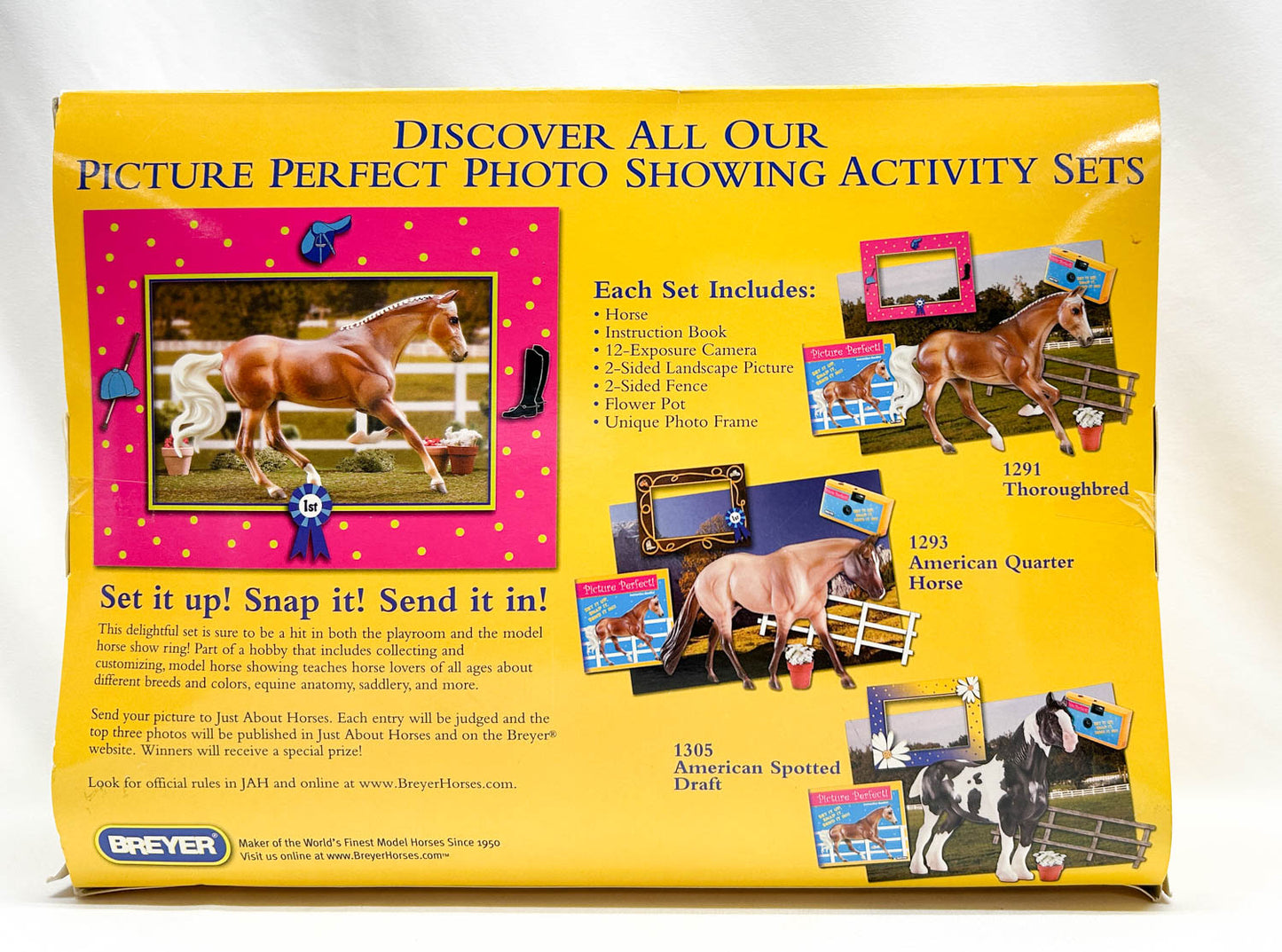 Gem Twist ~ Picture Perfect Thoroughbred - 6-Month Release