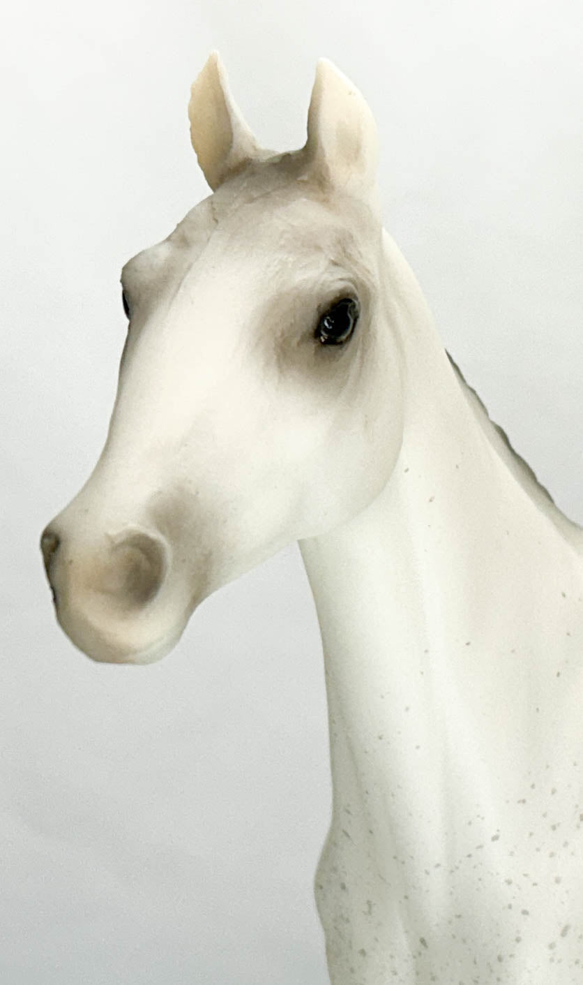 Halla, Fleabitten Grey - JC Penney SR