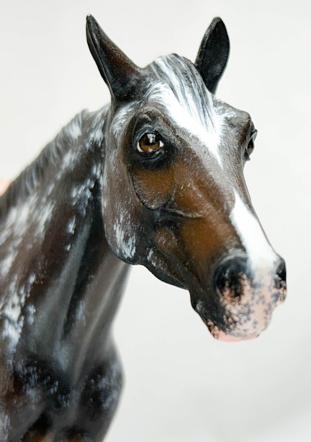 Monte Stock Horse Gelding Resin, Sculpted and Painted by Ann Harris