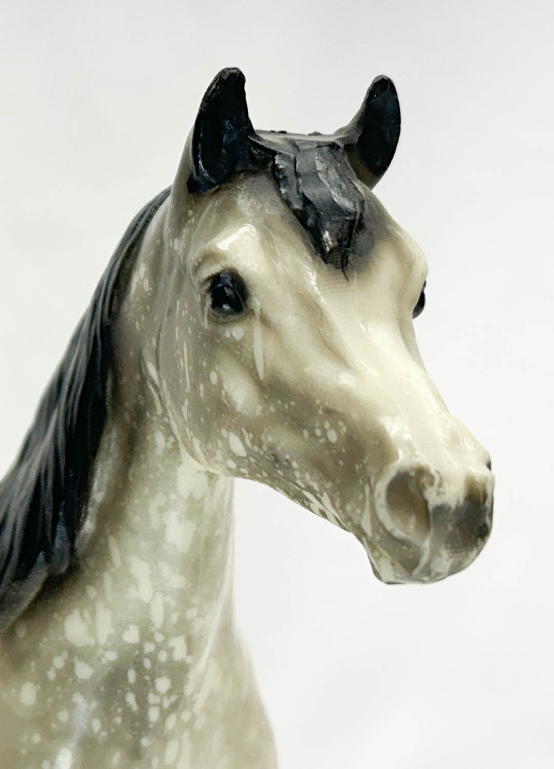 Proud Arabian Mare, Black-Point Dapple Grey - HALO DAPPLES! w/ Bonus Pony Pouch