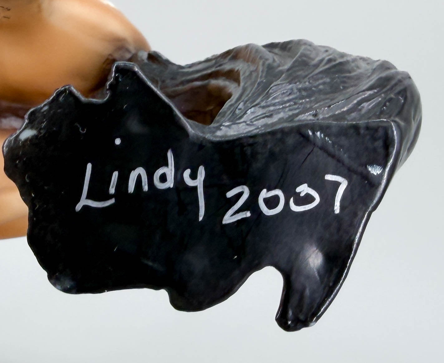 Silver, Buckskin Pinto - Custom Etchie by Lindy Pinkham