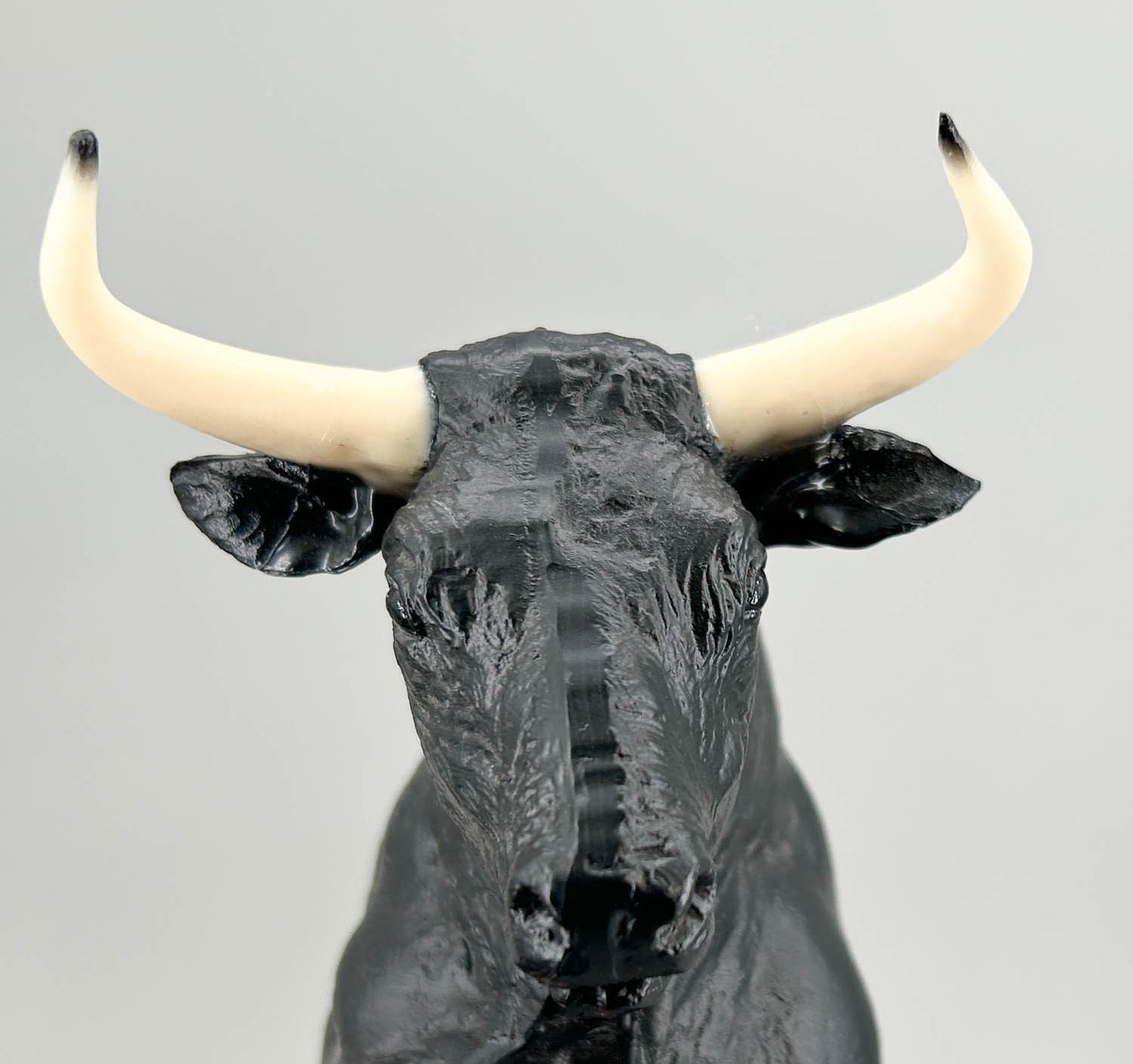 Spanish Fighting Bull, Black