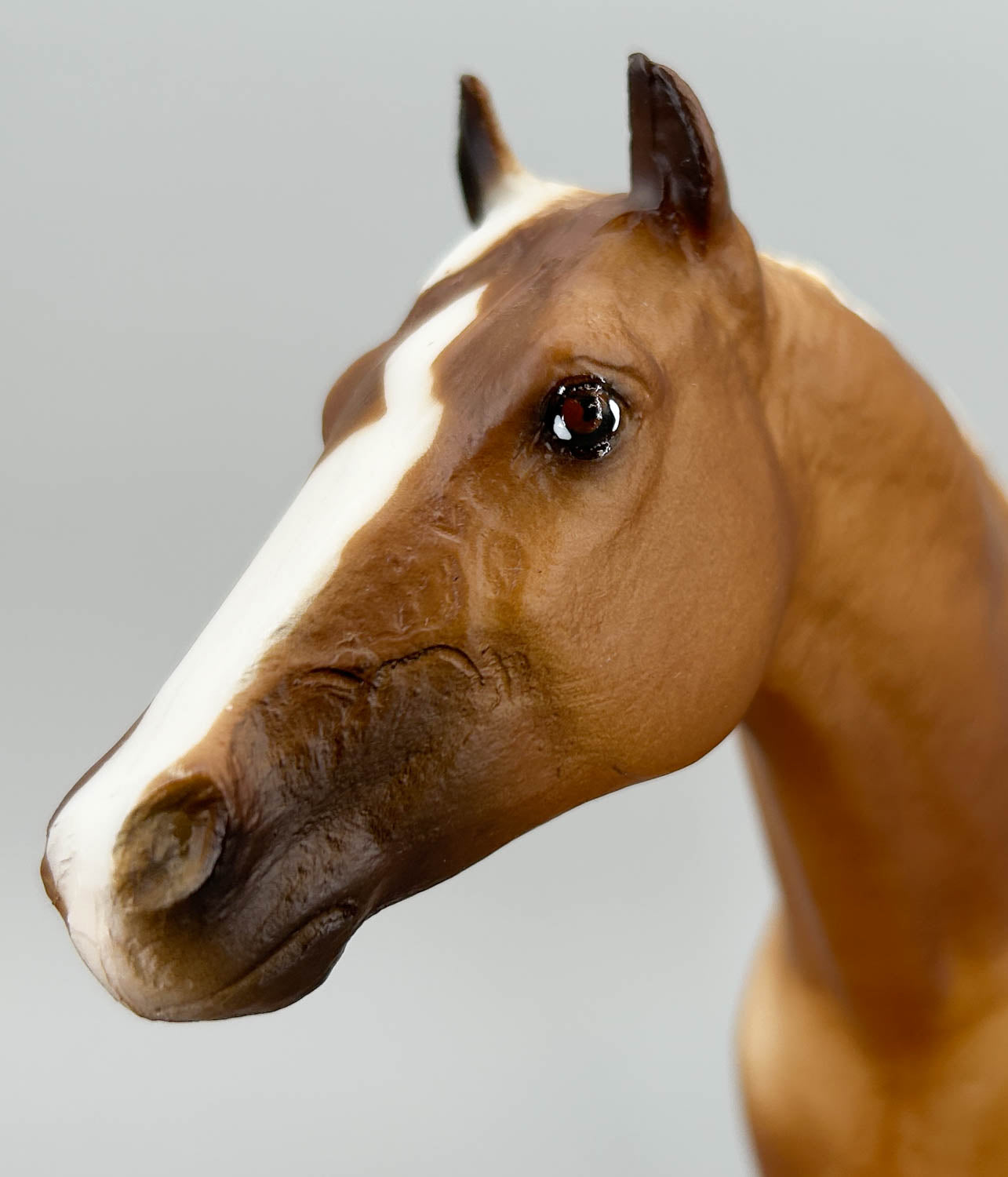 Stud Spider ~ Bold, Breyerfest 1997 Celebration Model