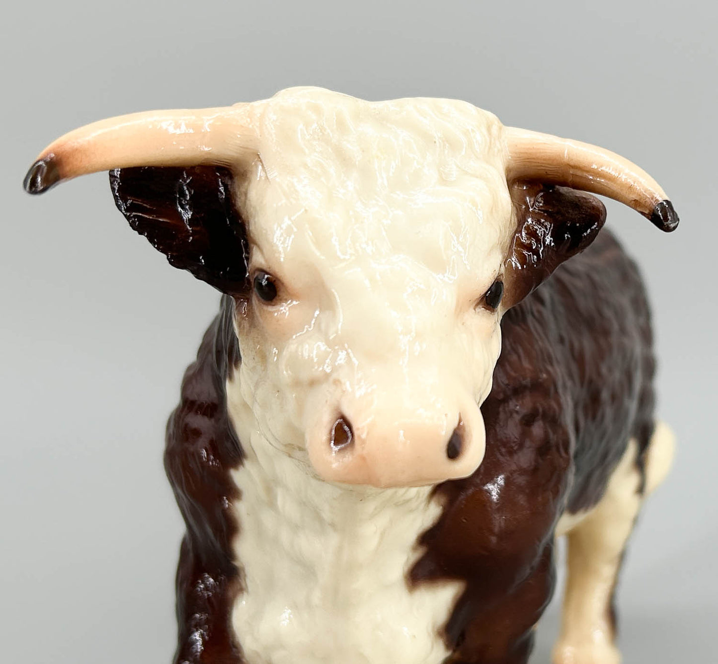 Walking Hereford - BROWN Eyes