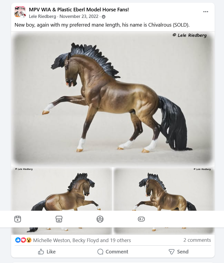 Criollo Stallion ~ Chivalrous, Custom by Lele Tiedberg