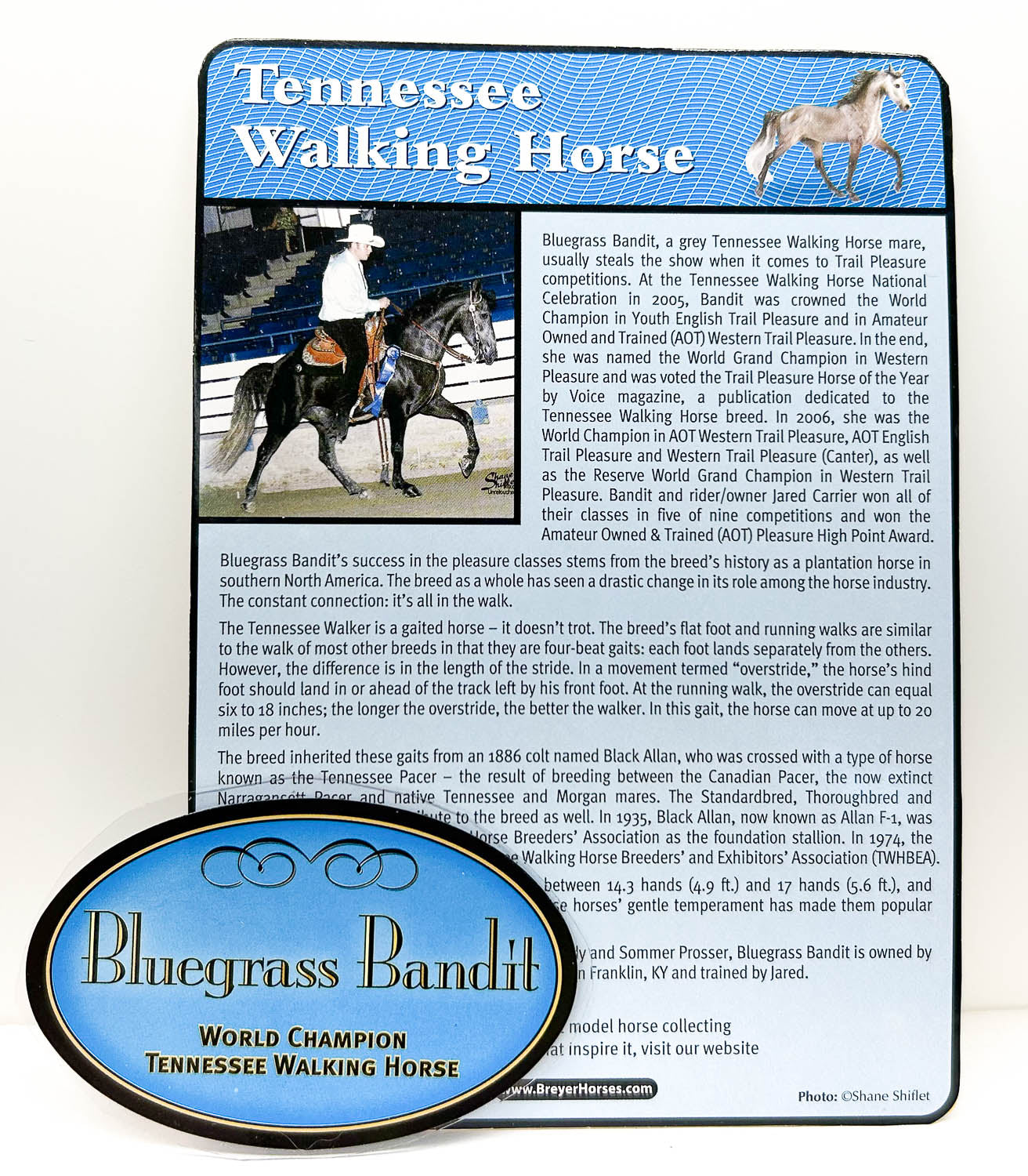 Bio Card and Box Sticker: Bluegrass Bandit