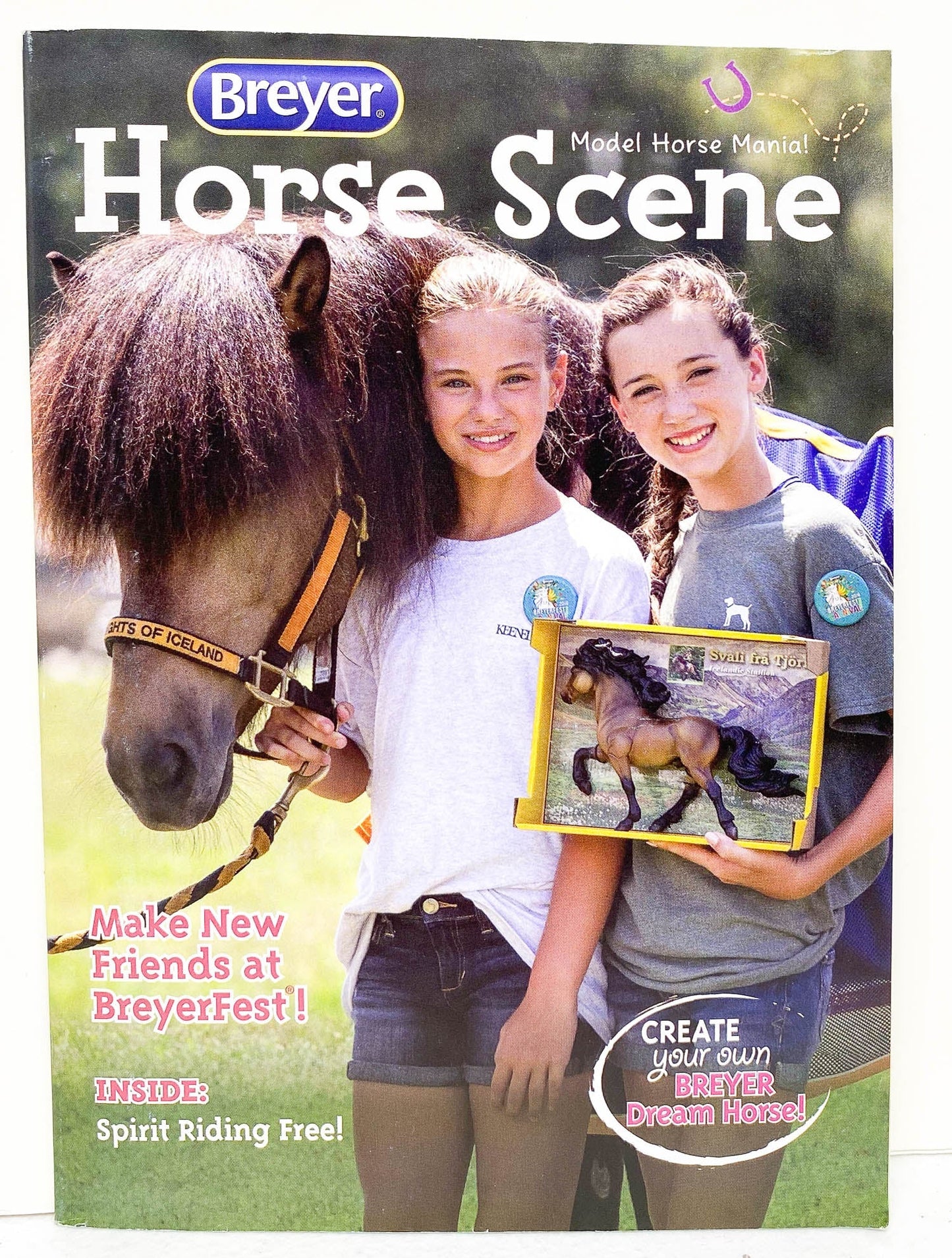 2017 Breyer Box Brochure - Svali fra Tjorn