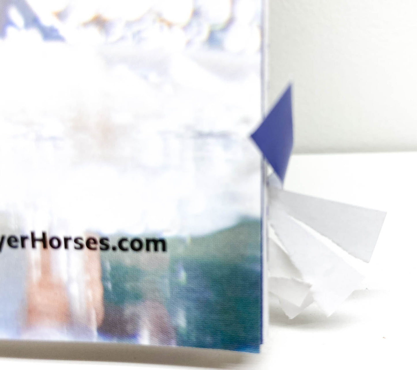 2021 Breyer Winter Consumer Catalog