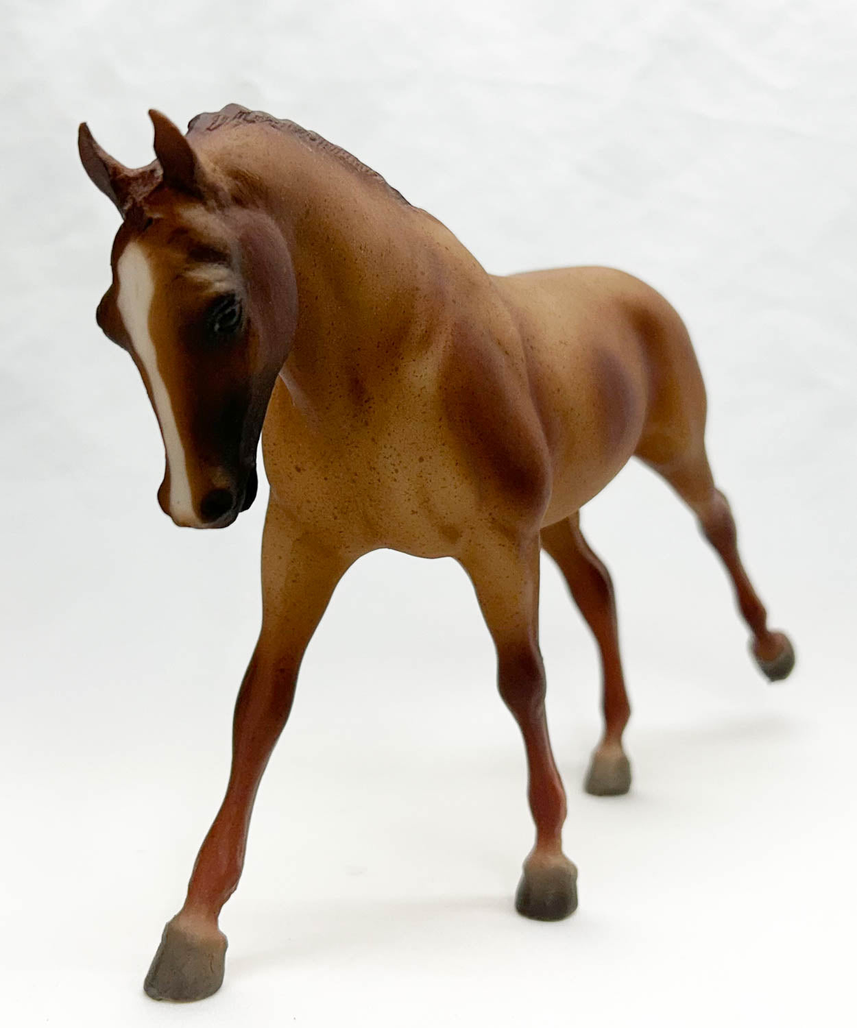 Cantering Welsh Pony ~ Plain Pixie from Eleda's herd