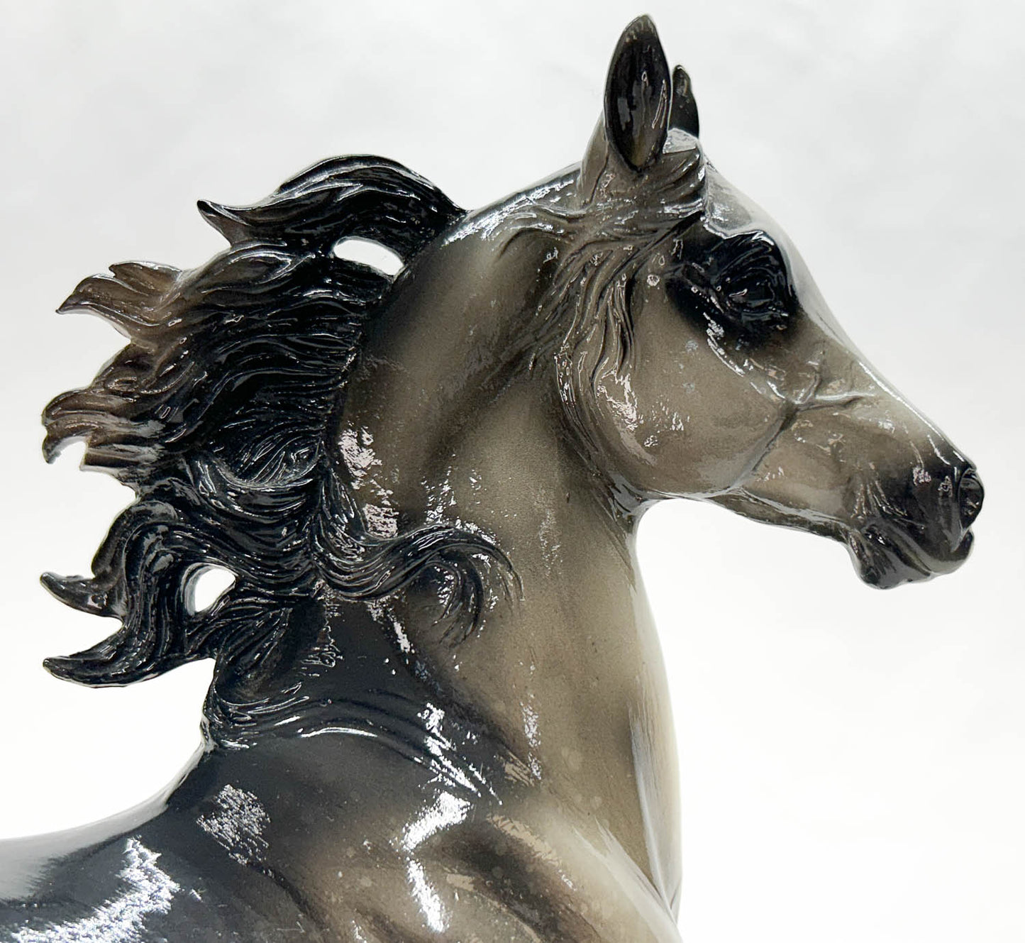 Huckleberry Bey ~ Paradigm - QVC SR