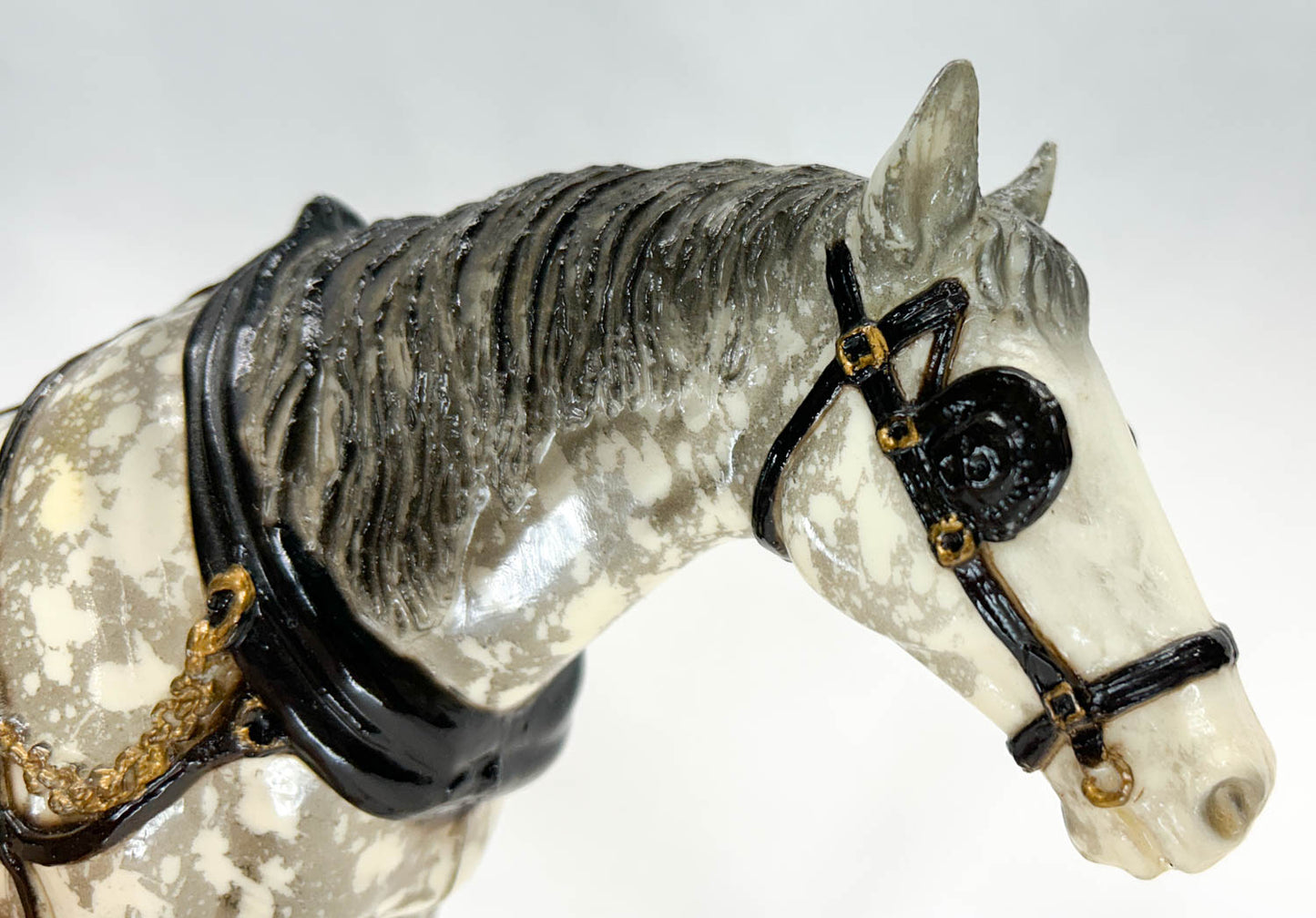 Old Timer, Dapple Grey - Glossy from Eleda's herd