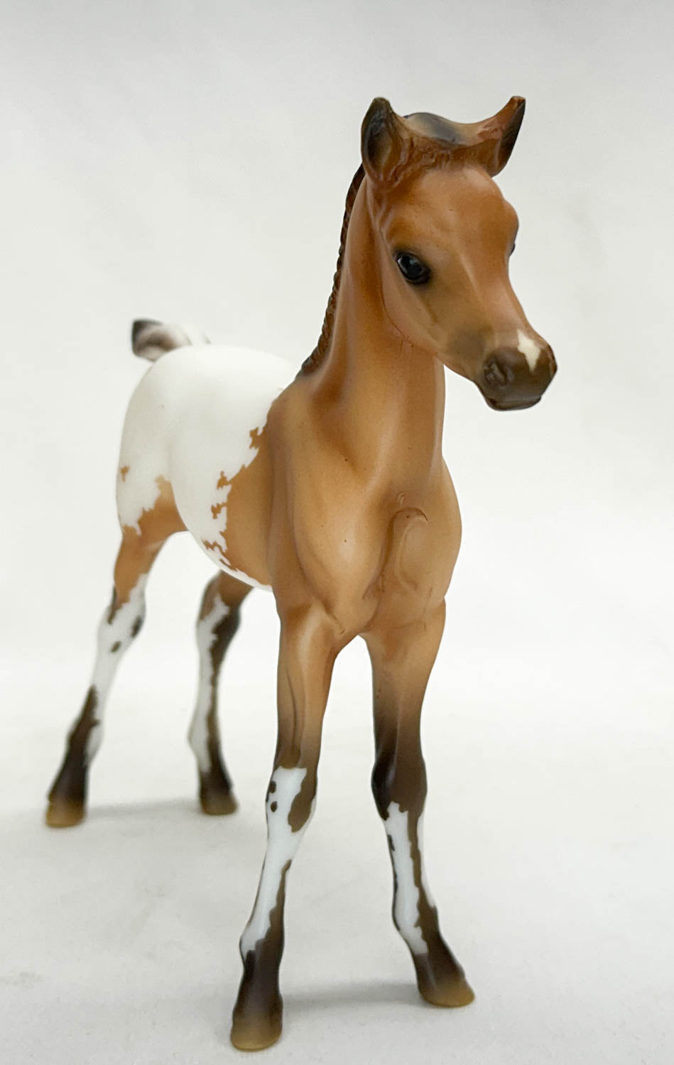 Proud Arabian Mare and Foal, Ara-Appaloosas - Web Special
