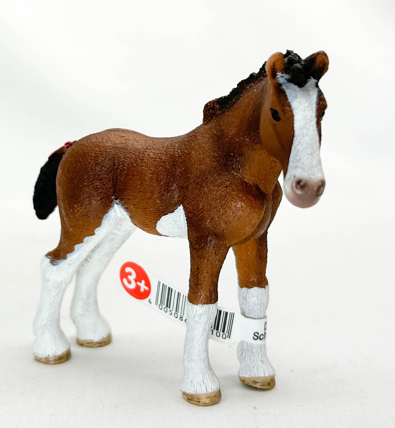 Clydesdale Foal, Chestnut