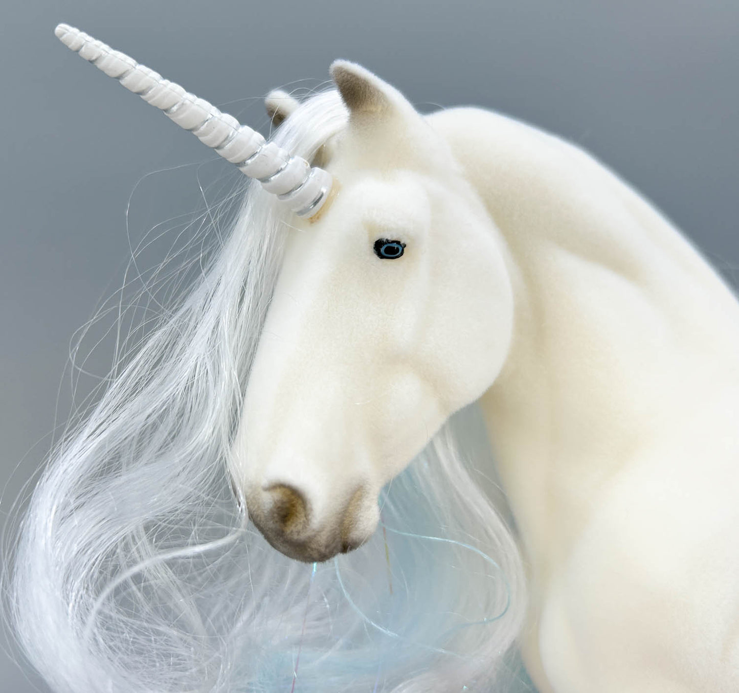 Shire Gelding ~ Gawain - 2022 Vintage Club, from Eleda's herd