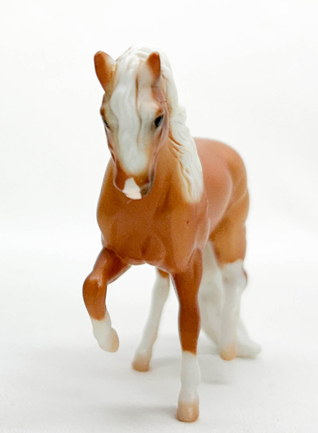 Andalusian ~ Tucker - Horses of Graceland