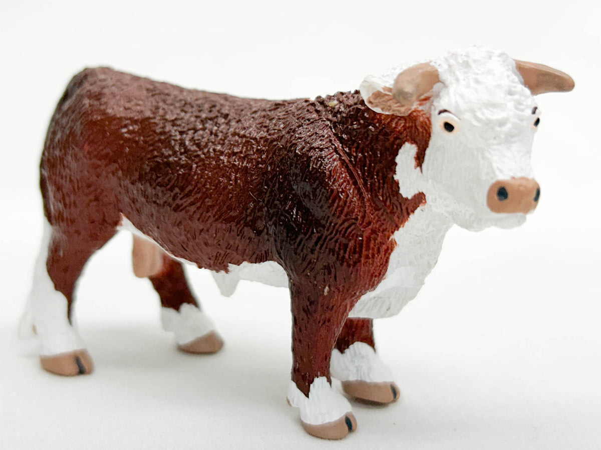 Bull, Hereford