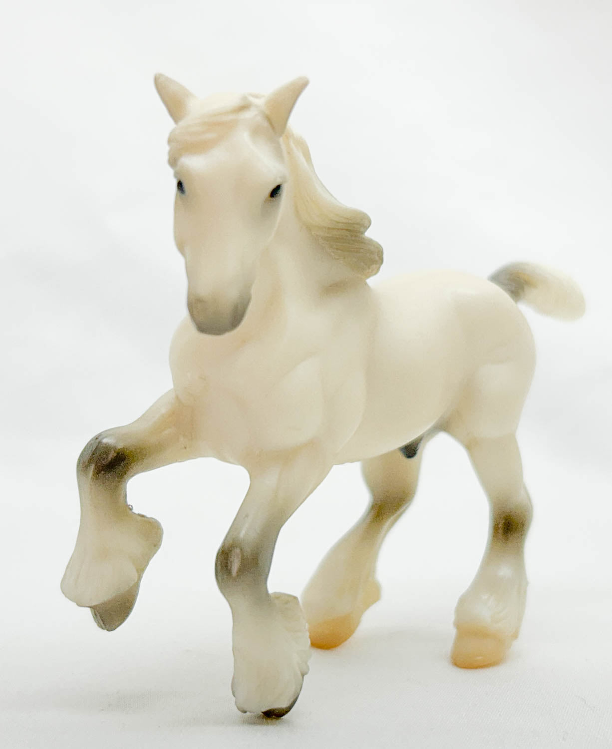 Clydesdale, Light Grey