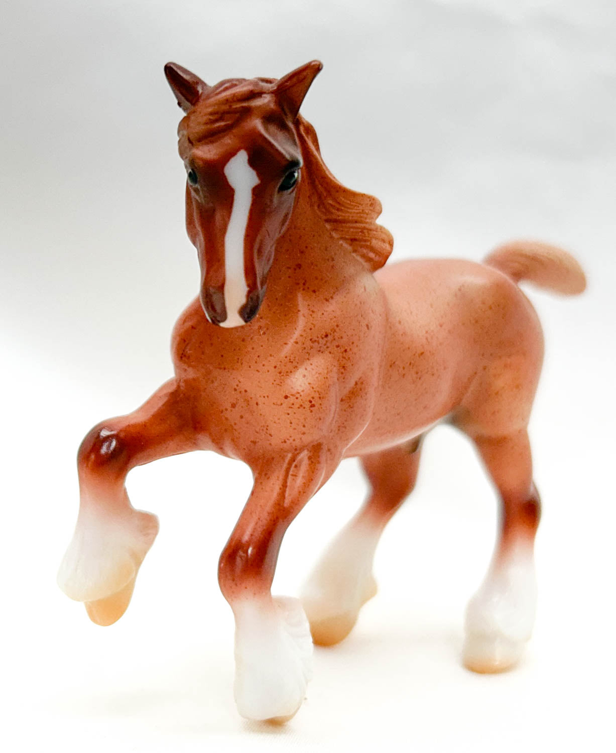 Clydesdale, Red Roan