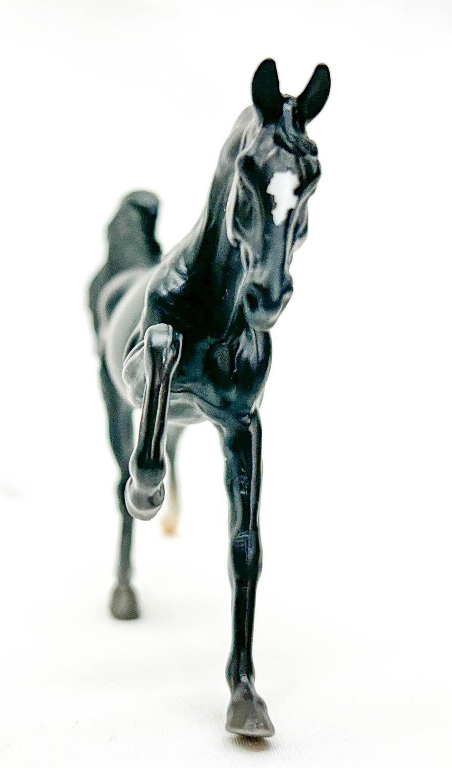 Darley Arabian, Black