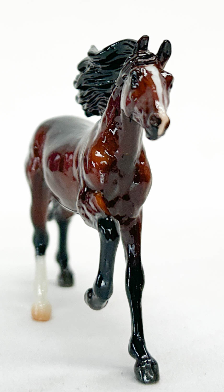 Mirado ~ Cava - BreyerFest 2025 Ltd Ed - UNOPENED (sale for charity)