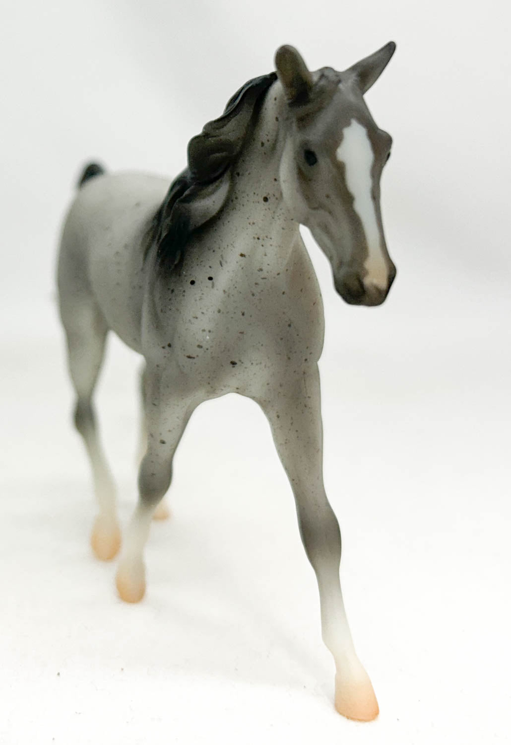 Missouri Fox Trotter, Fleabitten Grey - TSC blind bags
