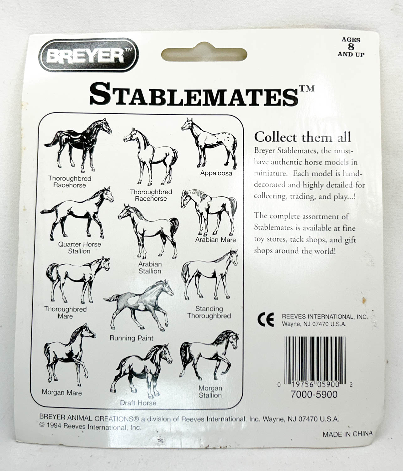 Native Dancer, Bay Appaloosa