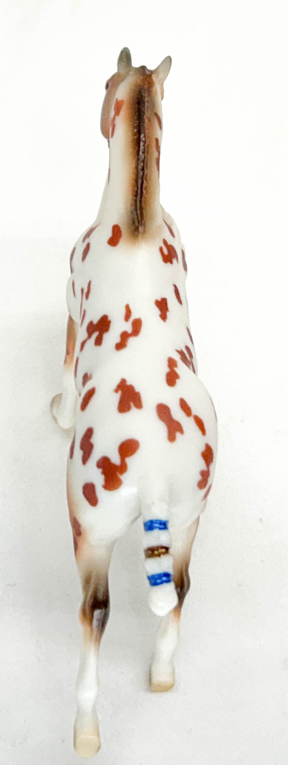 Polo Pony ~ Bellini - BreyerFest 2025 Limited Edition - UNOPENED (sale for charity)