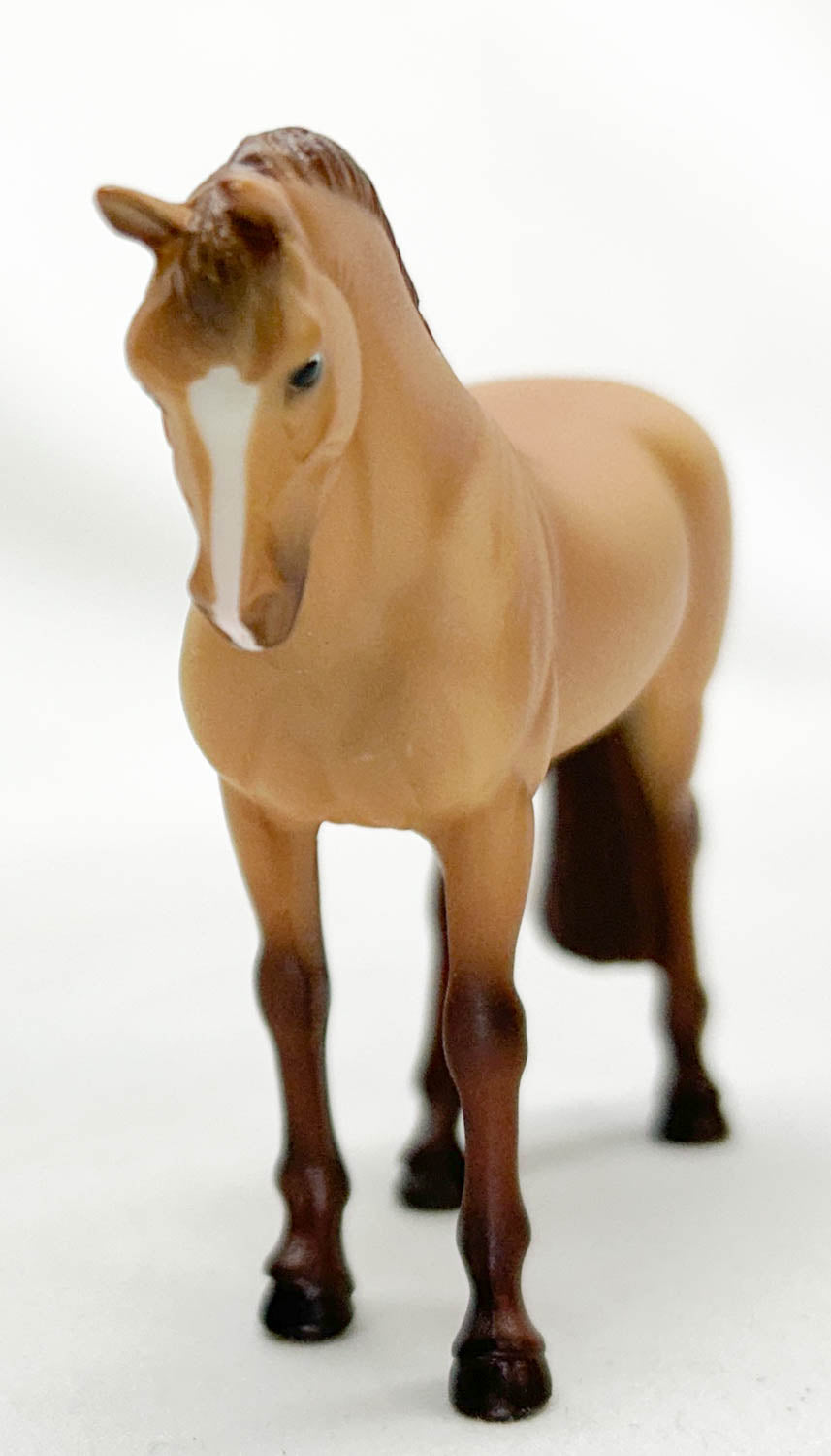 Standing Thoroughbred, Red Dun / Light Chestnut