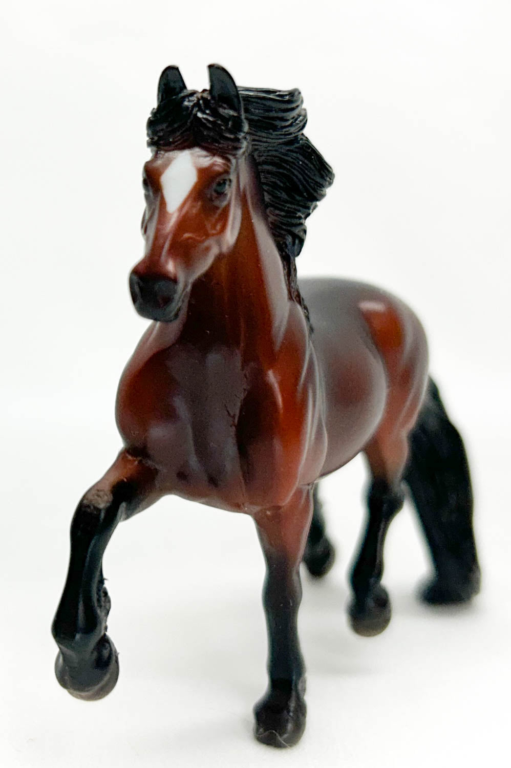 Trotting Friesian, Bay