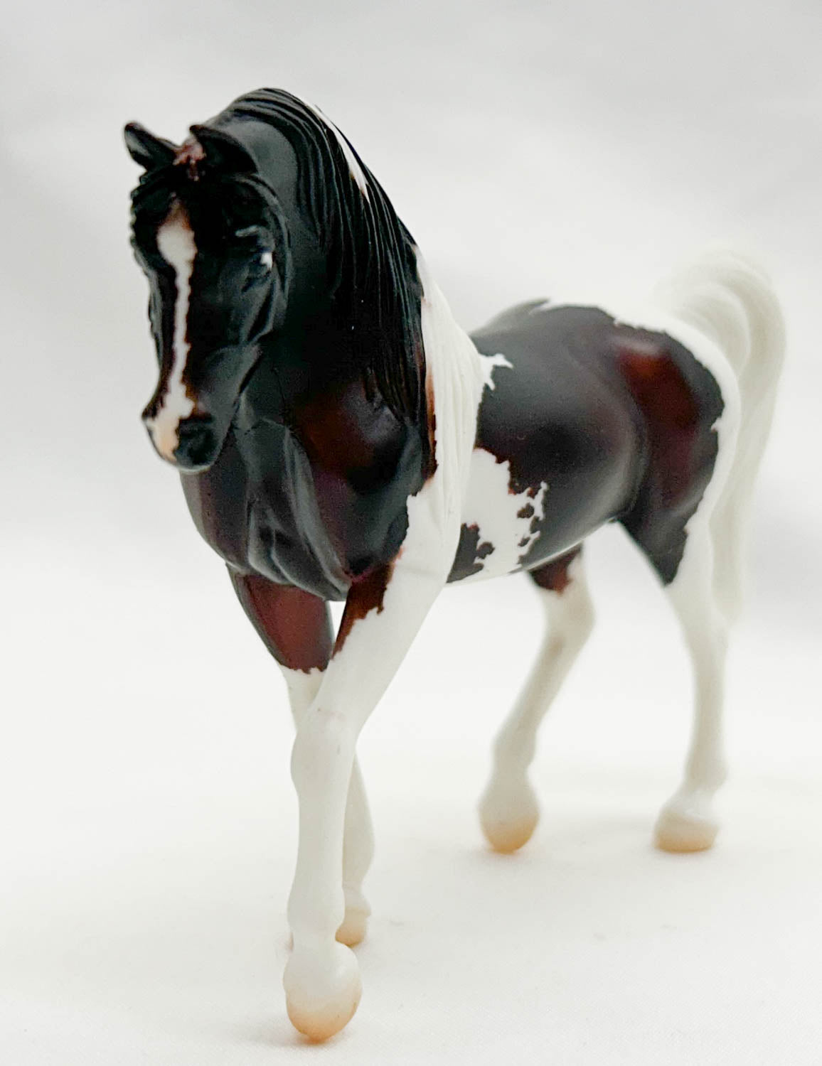 Walking Arabian ~ Victoire - Breyerfest 2020